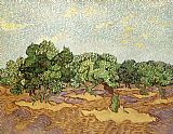 Vincent van Gogh Olive Grove II painting